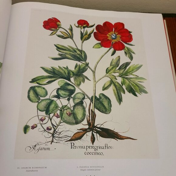 The Book of Plants: The Complete Plates (Taschen 25th Anniversary) Hardc… - Picture 10 of 15